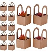 PH PandaHall 60 Sets Succulent Wrap Bags with Handles 2.7x2.7 inch 2 Colors Thank You Stickers Bo...