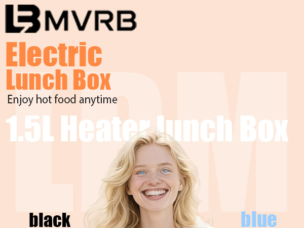 heater lunch box