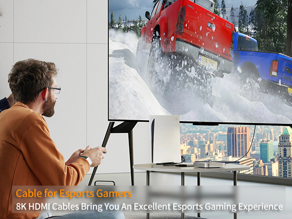Ultra High Speed HDMI Cable