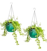 Funducts 2PCS Self Watering Planters 6.3 Inch Self Watering Pots for Indoor Plants, African Viole...