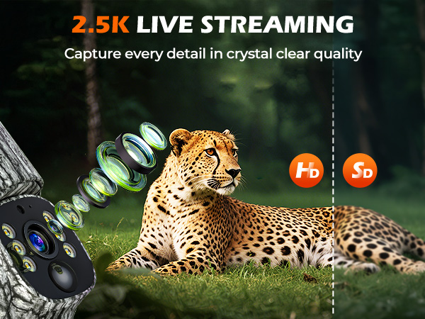 This 2.5K live streaming trail camera captures wildlife details in crystal clear quality