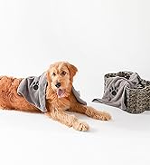 Dog wrapped in microfiber pet towel