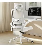 Hbada P1 Ergonomic Office Chair, Desk Chair with Adjustable Lumbar Support, Home Office Desk Chai...