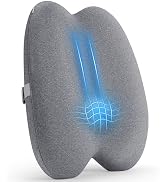 Cxprctpu Dense Lumbar Support Pillow with Breathable Cover, Multi-Region Ergonomic Memory Foam Cu...