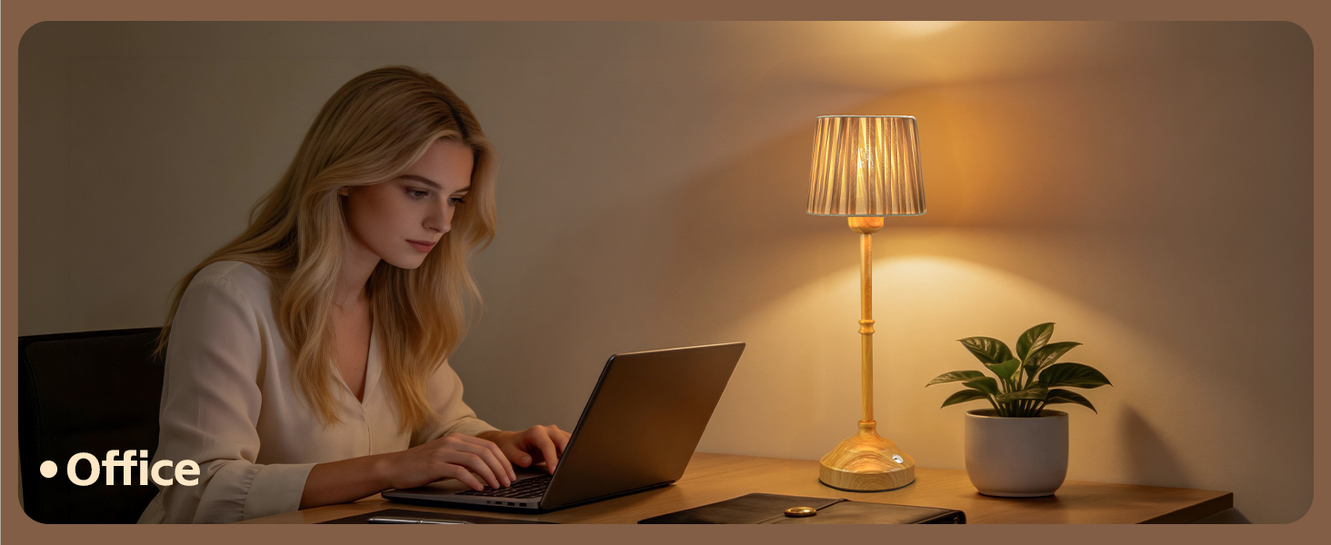 Cordless Lamp for office