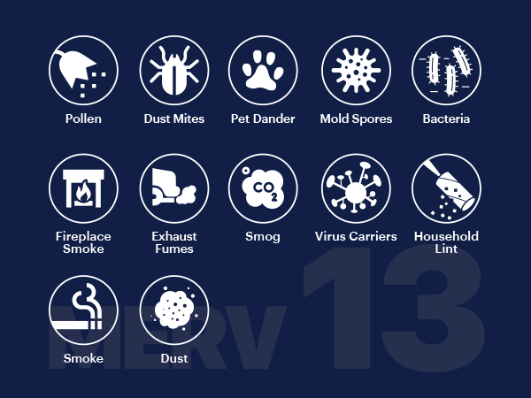 Particle Filtration, pollen, dust, mold spores, smoke, fumes, smog, virus carriers, bacteria