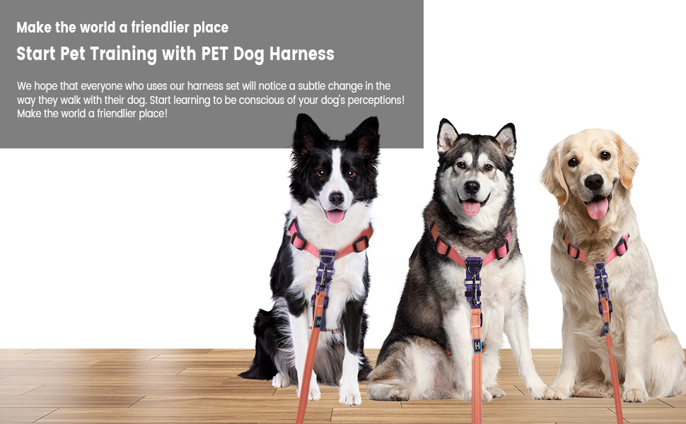 dog harness and leash set no pull