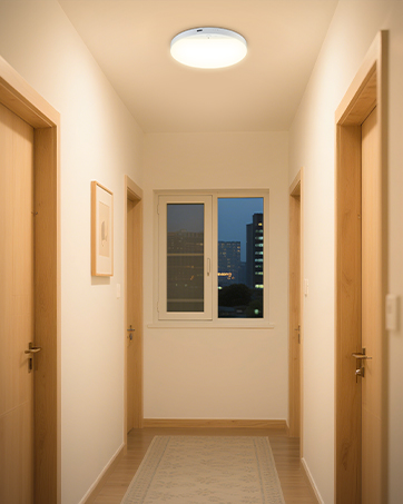 remote control motion sensor ceiling light for hallway