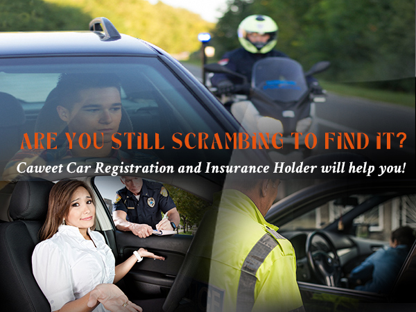 car insurance and registration holder