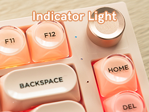 Indicator light