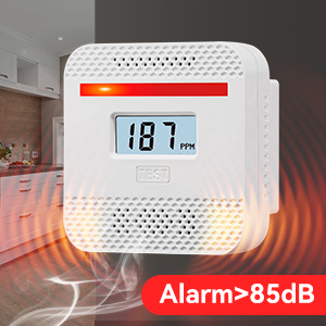 carbon monoxide detector