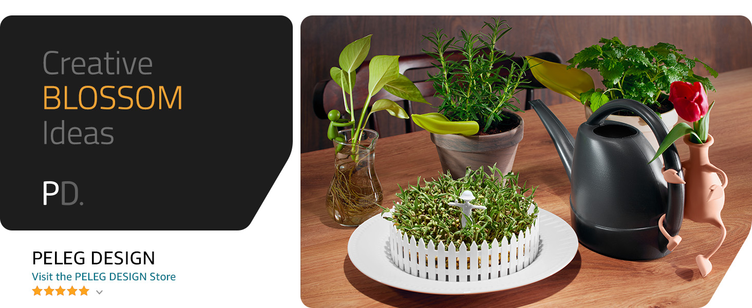 Kitchen and home accessories for daily use