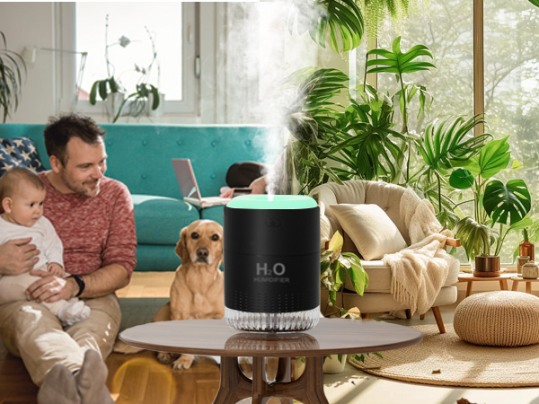Small Desktop Humidifier