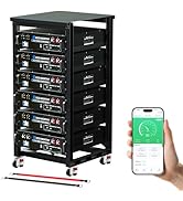 ECO-WORTHY 48V 600Ah Server Rack Lithium Battery (6 Pack 48V 100AH), 30.72kWh Capacity, LiFePO4 3...