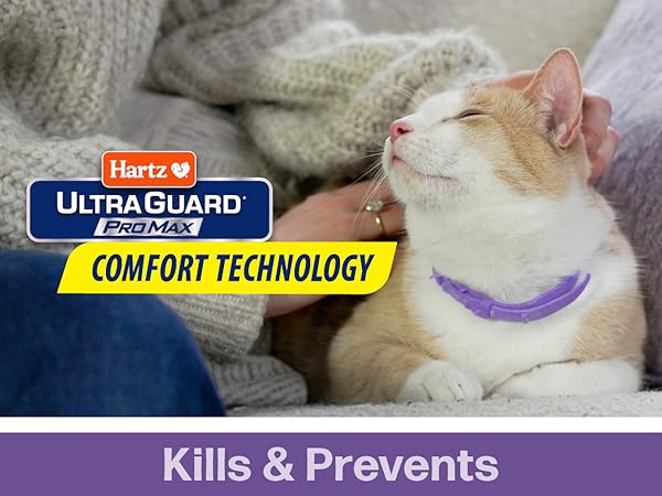 UltraGuard ProMax Collar