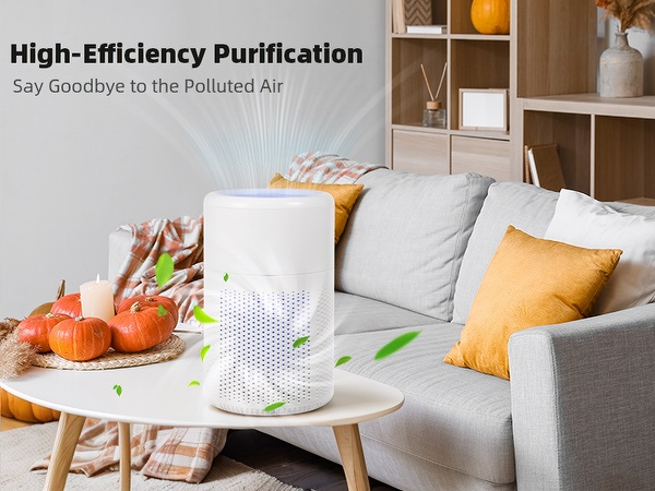 Air Purifiers for Bedroom Home