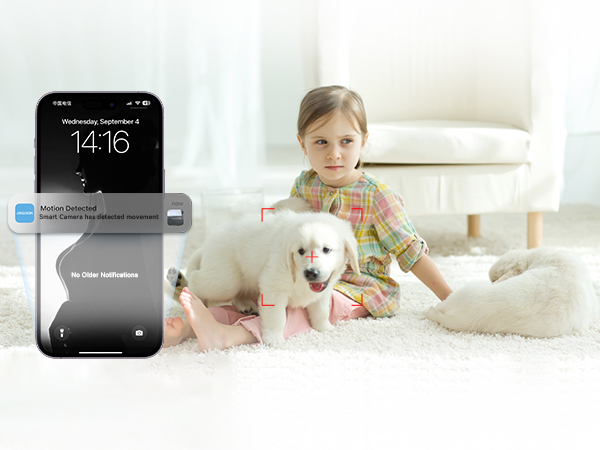 home surveillance cameras