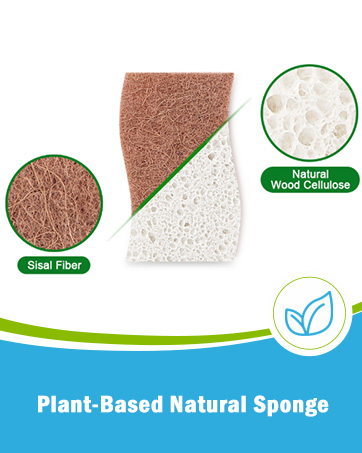 Natural Sponge