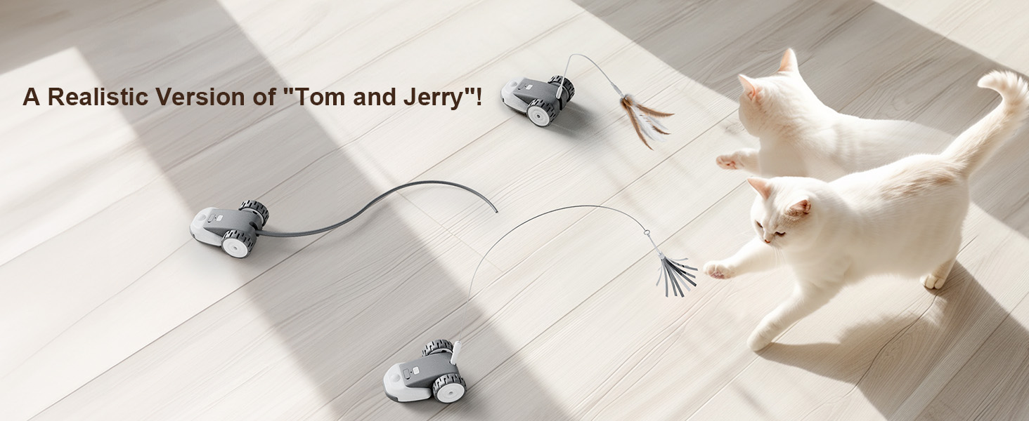 Interactive Cat Toy