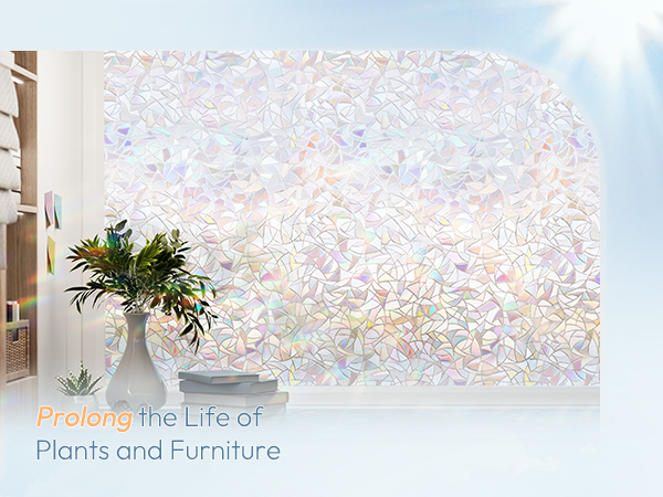 plant health window film