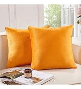 Deconovo Velvet Throw Pillow Covers for Couch and Sofa, Invisible Zipper | 2 Pack, Soft Velvet, N...