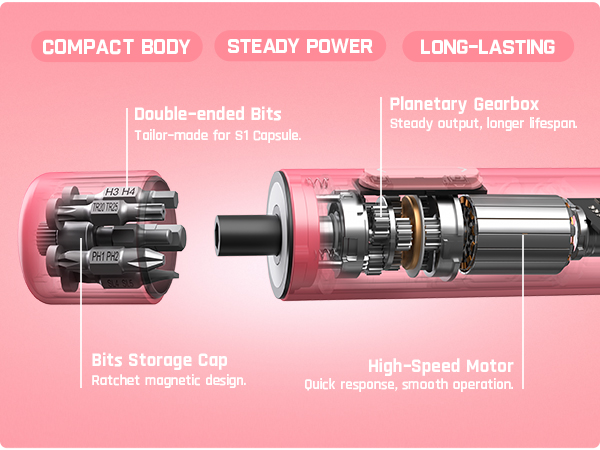 S1 Capsule