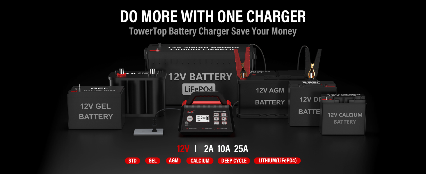LiFePO4 battery charger