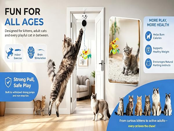 cat door toy cat dancer wire toy cat chase toy bird toy for cats