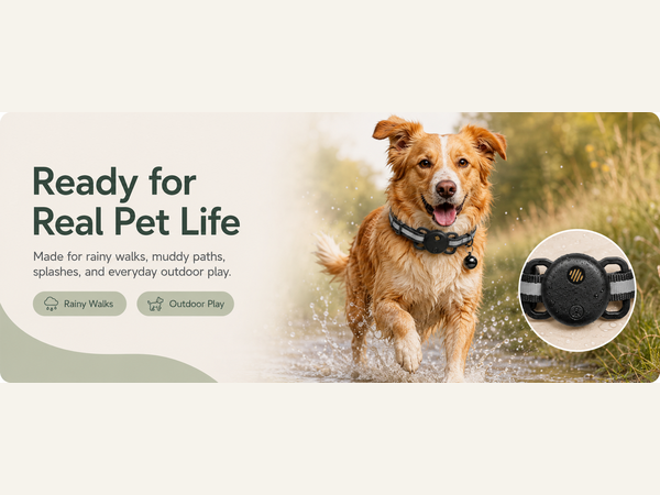 dog gps tracker