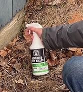 Grandpa Gus's Advanced Natural Pest Control Spray with Clove &amp; Cottonseed Oil - Indoor/Outdoor In...