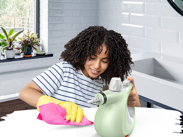 steam cleaner 