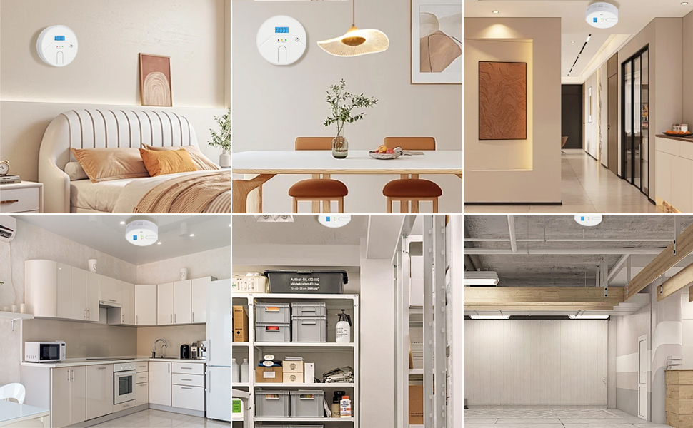 Carbon Monoxide Detector