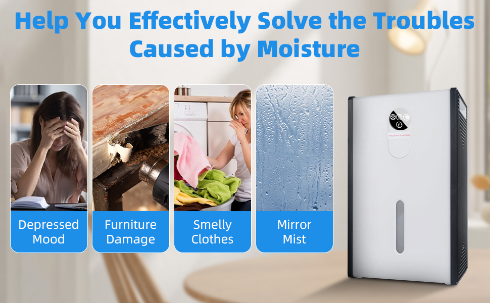 Dehumidifier