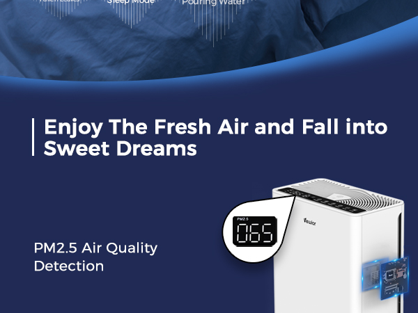 PM 2.5 Air Quality Detection