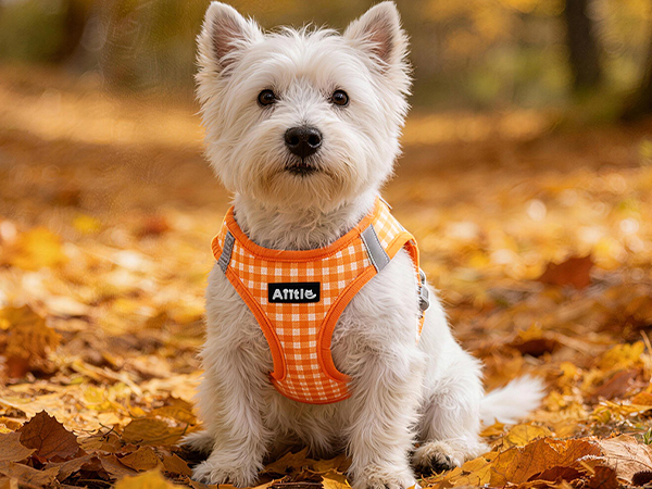 AIITLE Step-in Dog Vest Harness and Leash Set - Summer Mesh Plaid Vest Harness