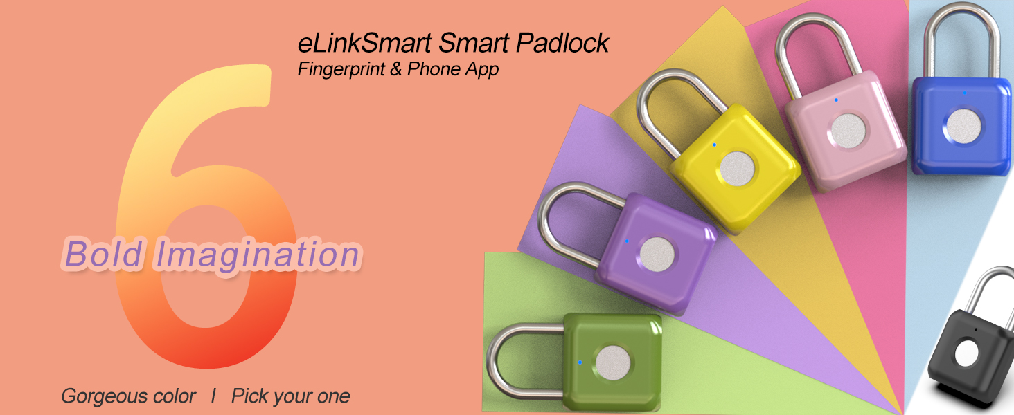 Fingerprint Padlock Gorgeous color