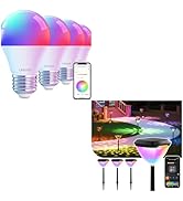 Linkind Smart Bulbs with Smart Solar Pathway Lights SP6