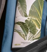 SEAGO Electric Toothbrush with 10 Brush Heads,Travel Toothbrush with Travel Case and Toothbrush H...