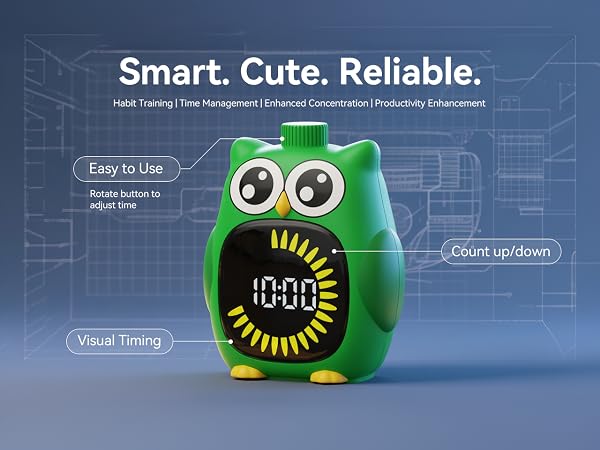 Introduction to the Visual Timer Function