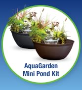Aquascape AquaGarden Container Water Feature Kit – Indoor &amp; Outdoor Mini Pond with Waterfall Foun...