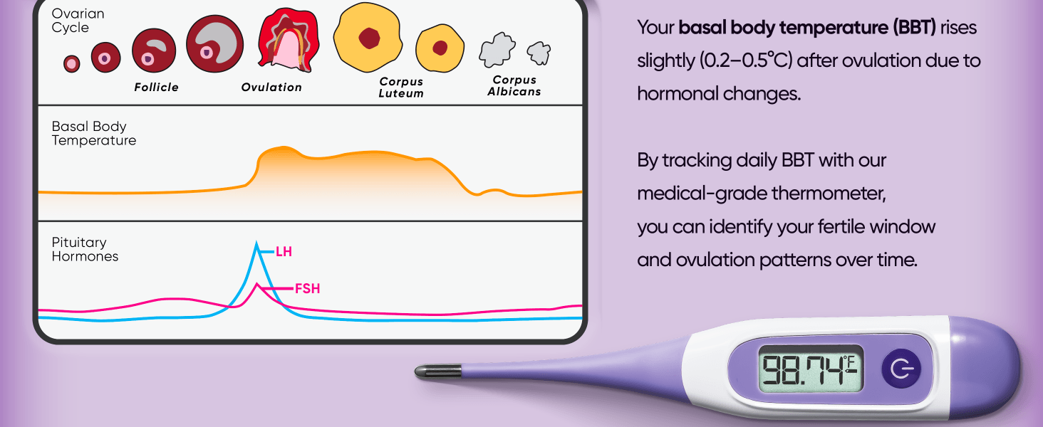 WF-DMT3072-Digital Basal Thermometer 04