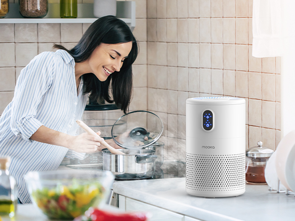 air purifiers for kitchen