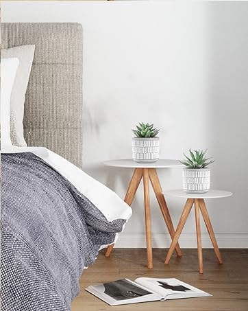 faux plants indoor