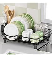 ROTTOGOON Dish Drying Rack, Stainless Steel Rustproof Dish Rack for Kitchen Counter, Sturdy Dish ...