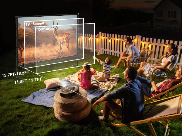 Projector Screen with Stand6