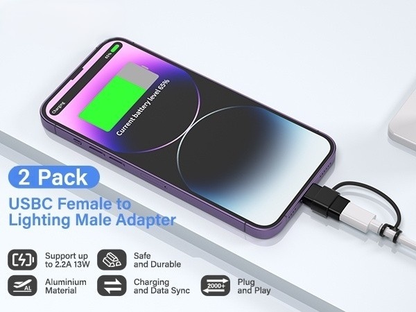 lightning to usb c adapter