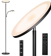 42W LED Floor Lamp