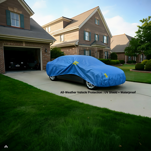 All-Weather Vehicle Protection