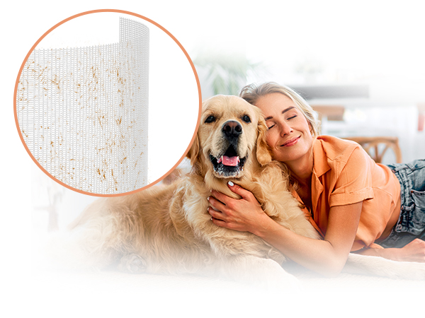 airromi air purifier