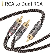 RCA to Dual RCA
